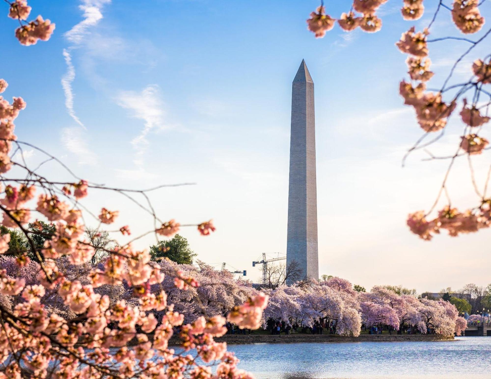 Staybridge Suites Washington D.C. - Greenbelt By Ihg Ланхем Экстерьер фото